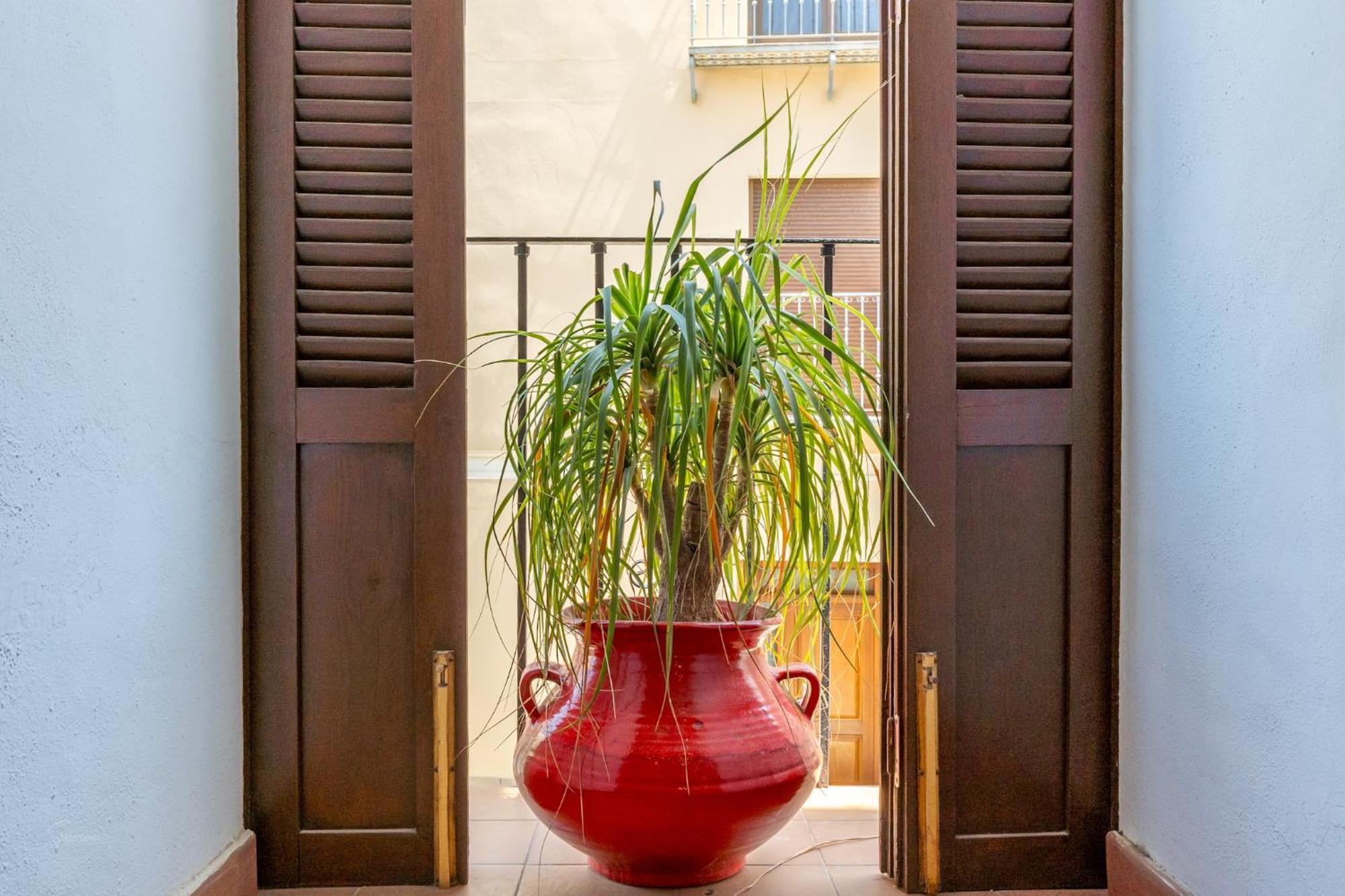 Denia Townhouse 아파트 외부 사진